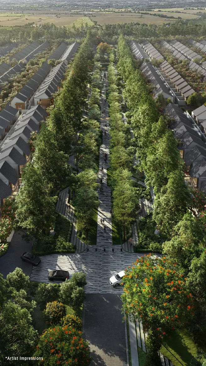 Boulevard The Forestine Citra – Koridor Pohon Hijau Cedarwood